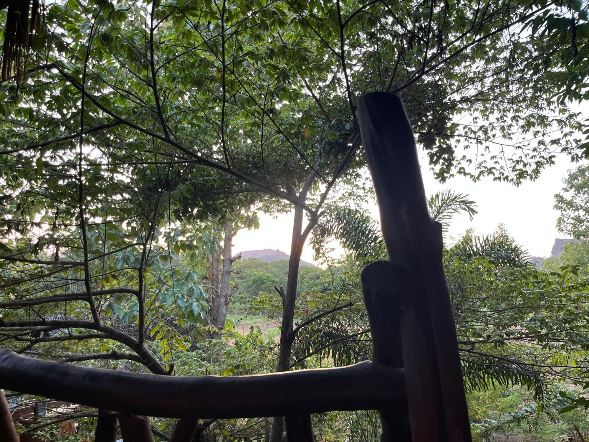Sigiriya Rock Gate Resort Exterior photo