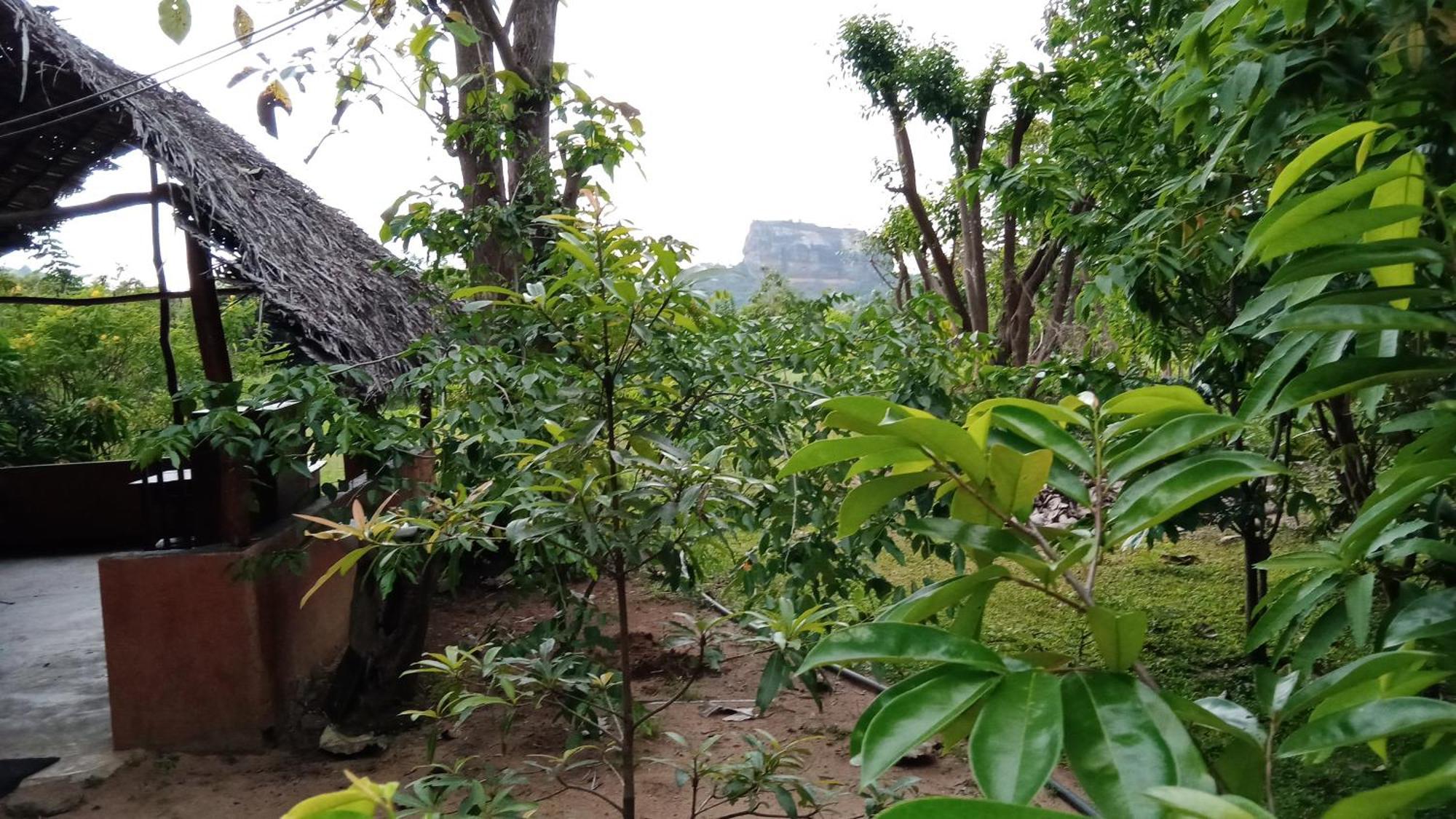 Sigiriya Rock Gate Resort Exterior photo
