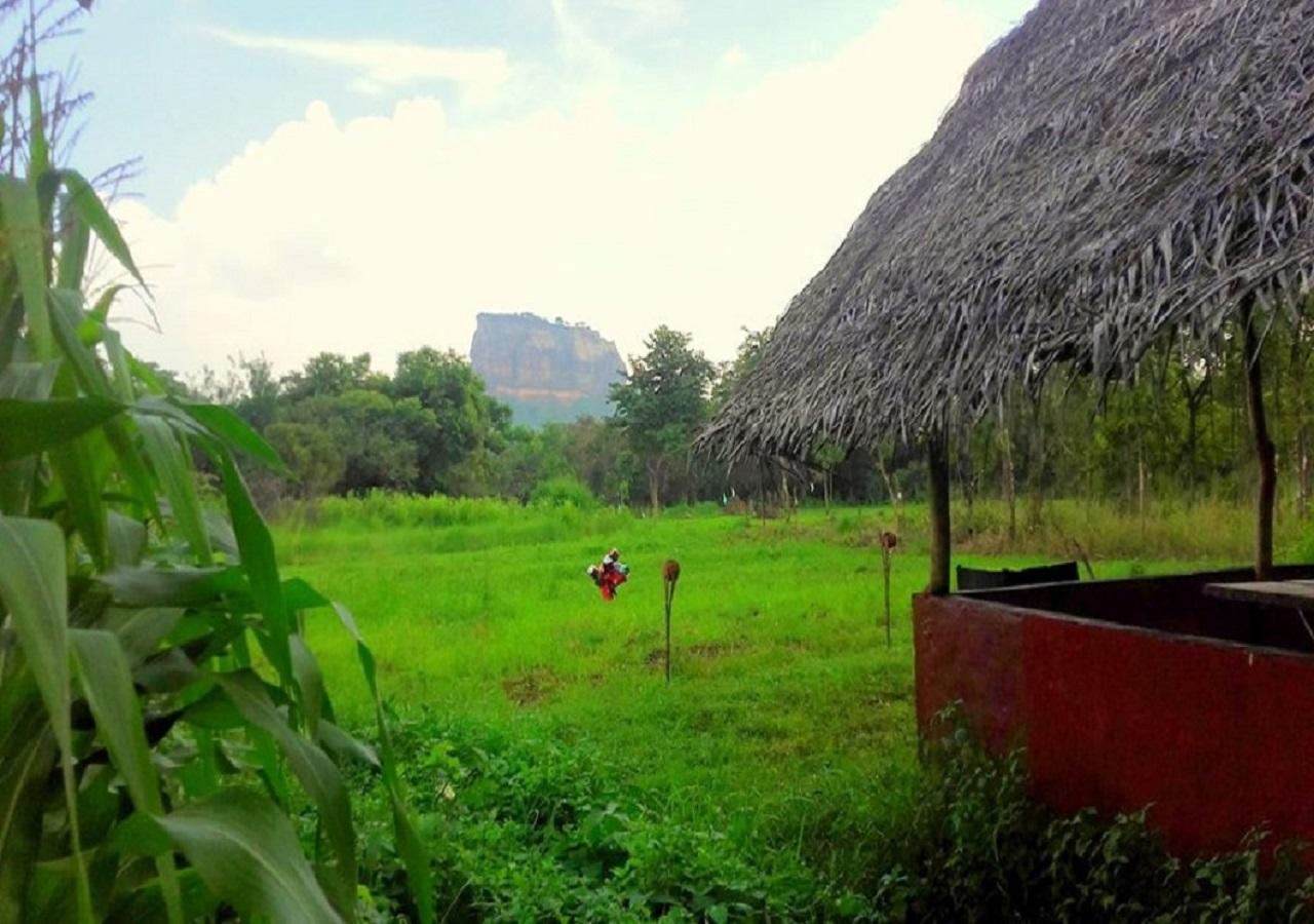 Sigiriya Rock Gate Resort Exterior photo